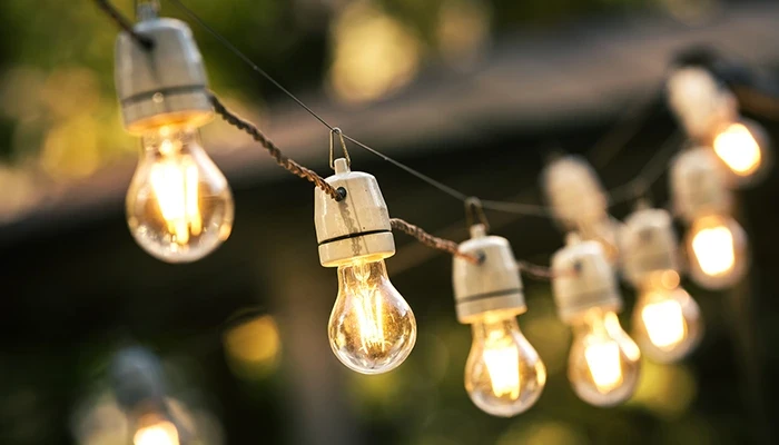 Outdoor lighting for texas landscaping.