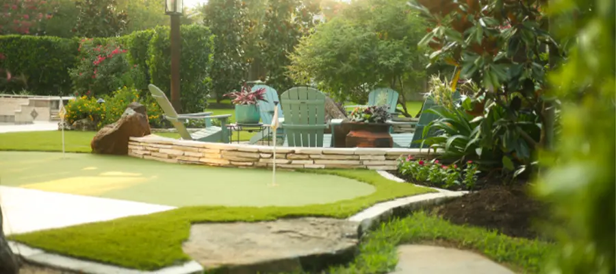Photo of a backyard