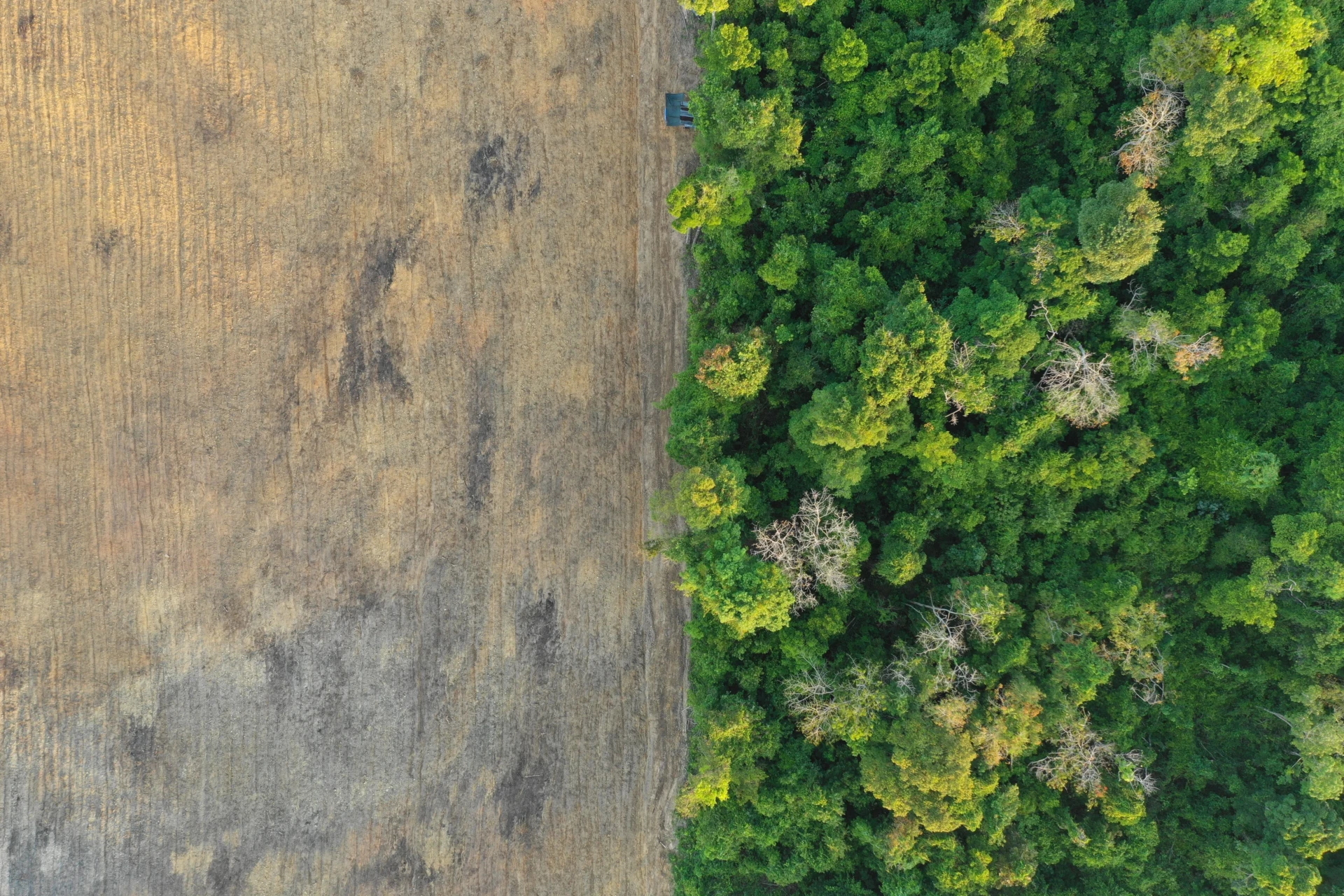 Arial view of how landscaping was cleared.