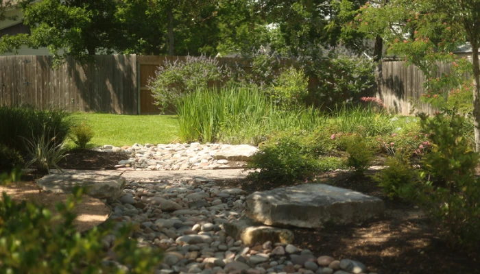 Spring Landscaping After a Freeze - Grassroots backyard with refreshed lawn, rock riverbed, and thriving spring plants after winter damage.